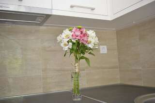 Апартаменты Apartments Posto Capitano 0202 Котор Номер-студио-13